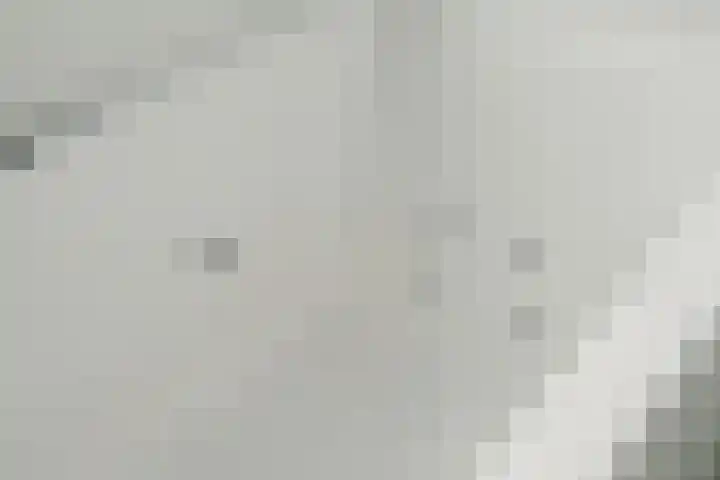Cort van der Lindenkade 8 Amsterdam thumbnail 36