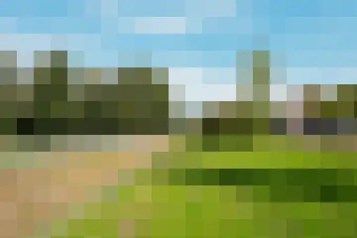 Cort van der Lindenkade 8 Amsterdam thumbnail 47