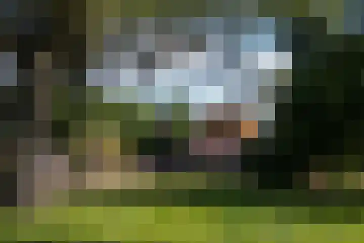 Cort van der Lindenkade 8 Amsterdam thumbnail 50