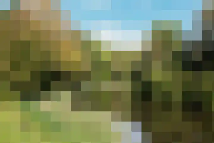 Cort van der Lindenkade 8 Amsterdam thumbnail 52