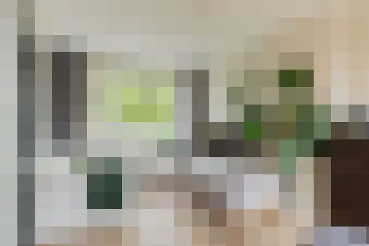 Cort van der Lindenkade 8 Amsterdam thumbnail 8