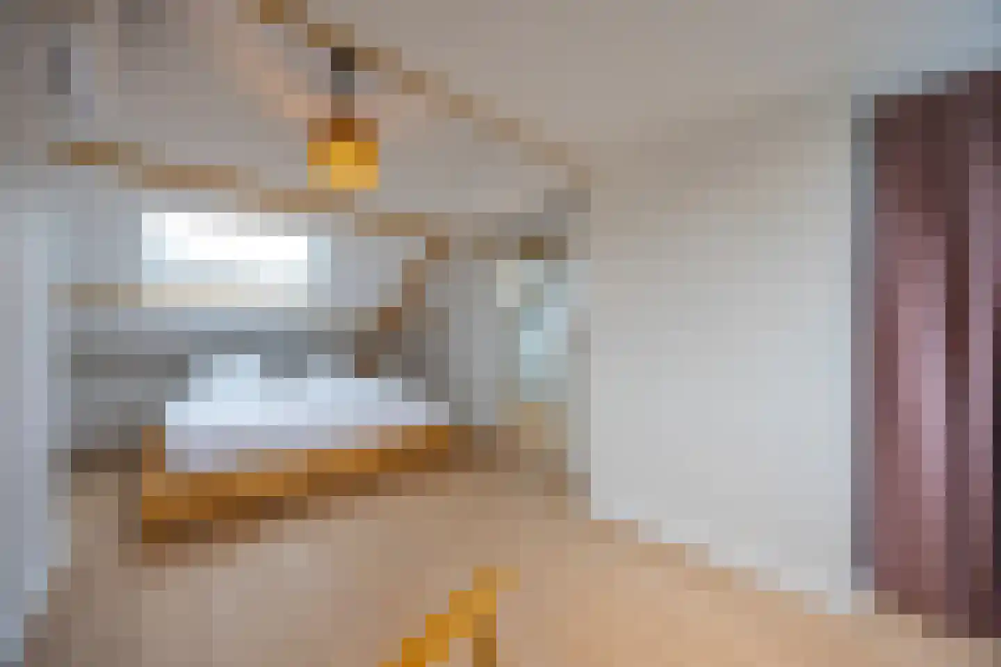 Cort van der Lindenlaan 102 Naarden thumbnail 38