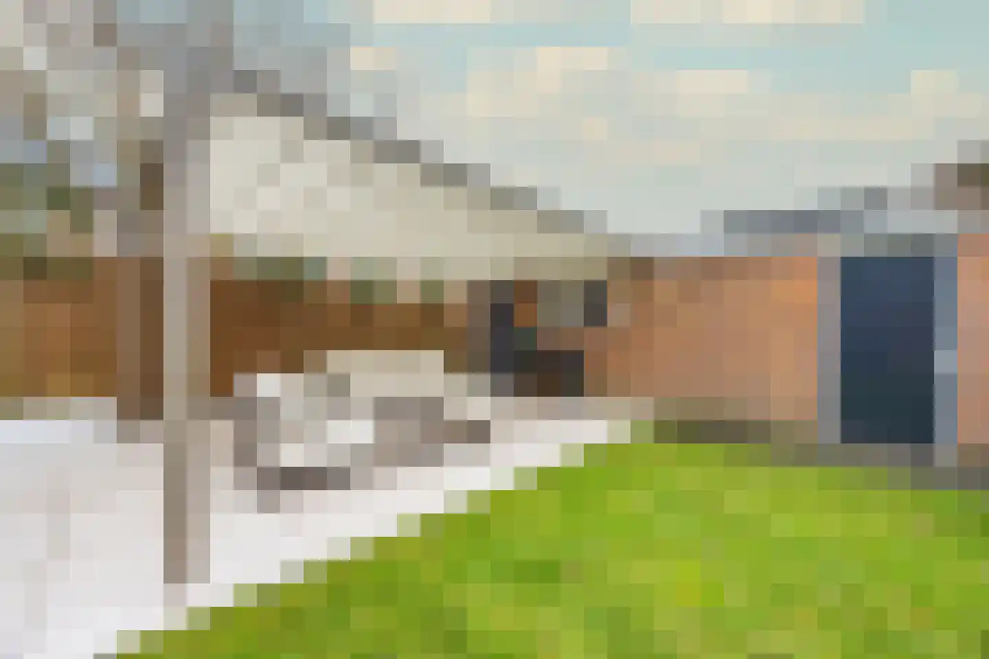 Cort van der Lindenlaan 102 Naarden thumbnail 45