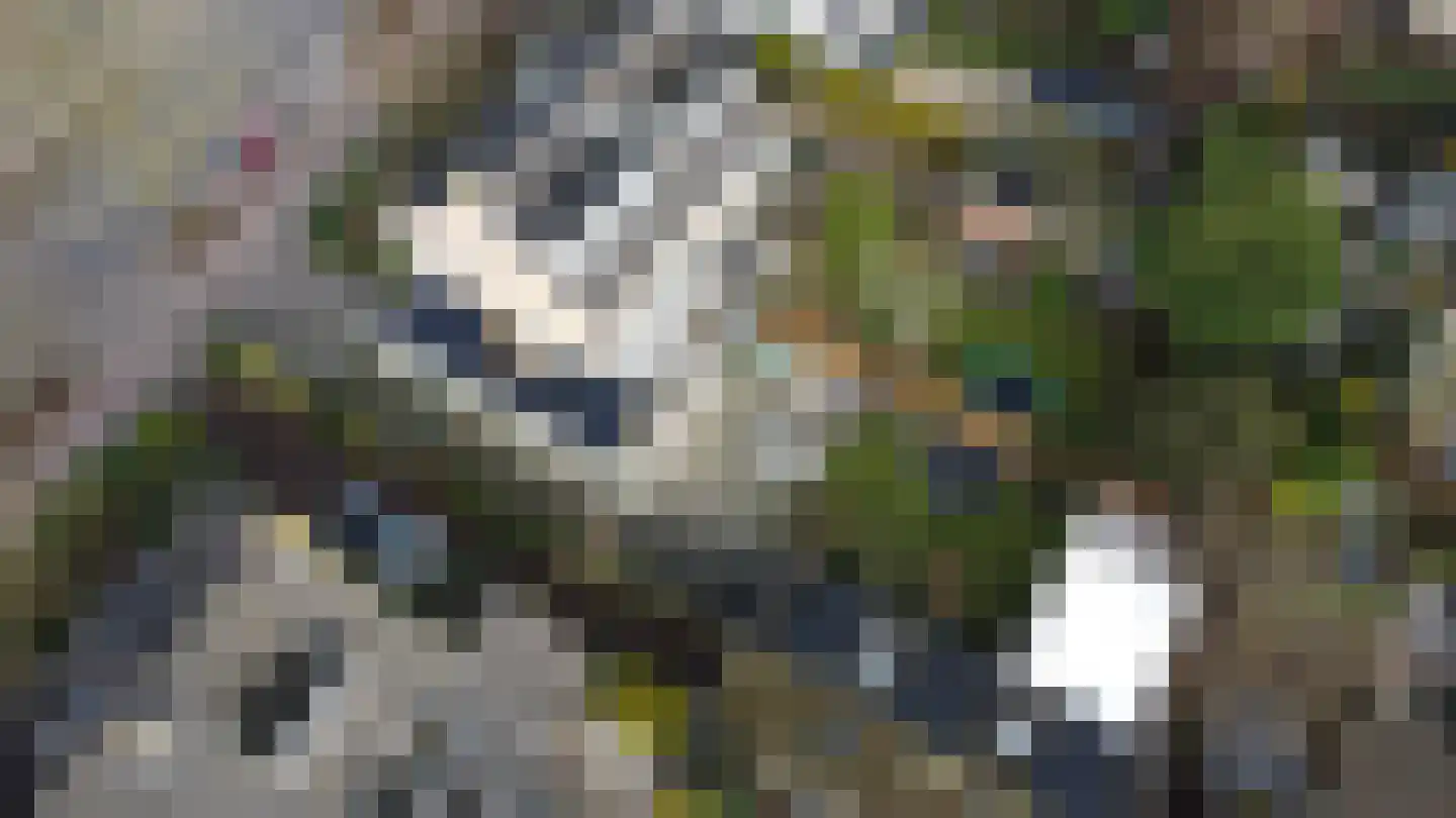 Cort van der Lindenlaan 102 Naarden thumbnail 50