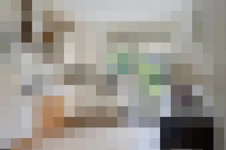 Cort van der Lindenlaan 11 Zwolle thumbnail 10