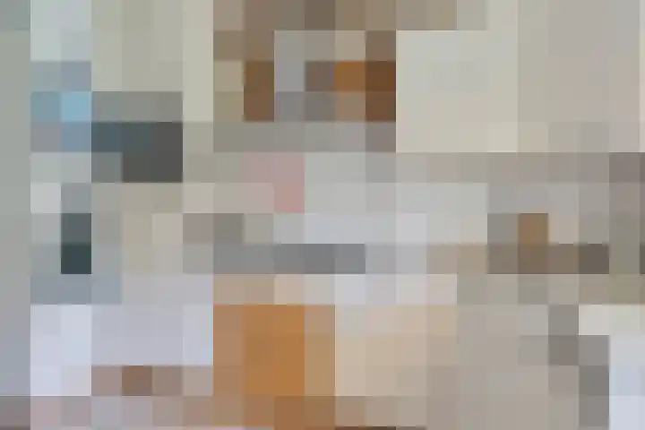 Cort van der Lindenlaan 11 Zwolle thumbnail 11