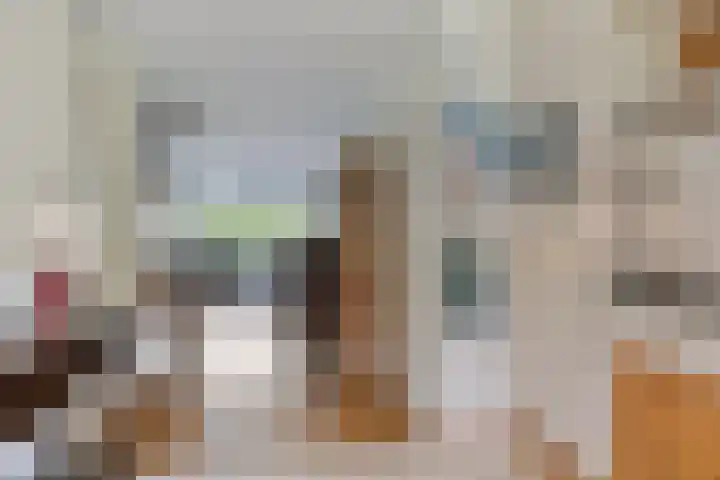 Cort van der Lindenlaan 11 Zwolle thumbnail 12