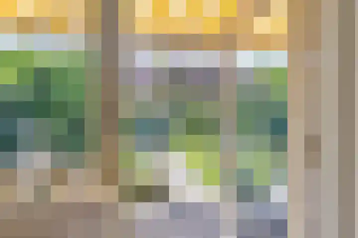 Cort van der Lindenlaan 11 Zwolle thumbnail 13