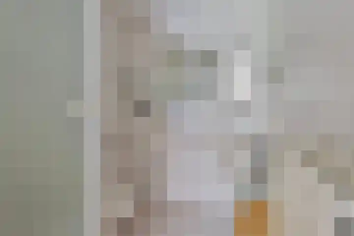 Cort van der Lindenlaan 11 Zwolle thumbnail 15