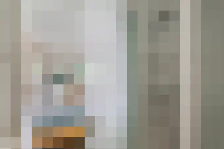 Cort van der Lindenlaan 11 Zwolle thumbnail 16