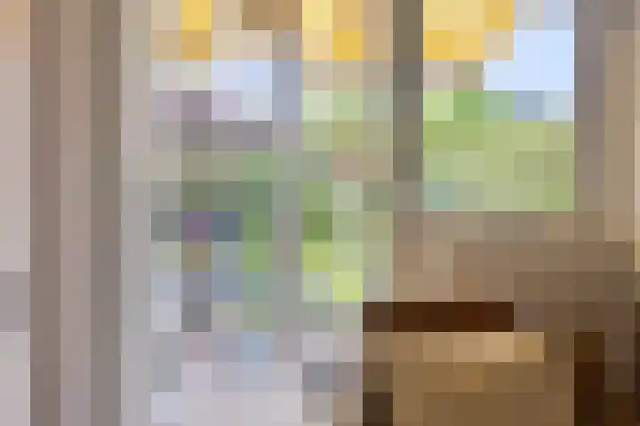 Cort van der Lindenlaan 11 Zwolle thumbnail 17