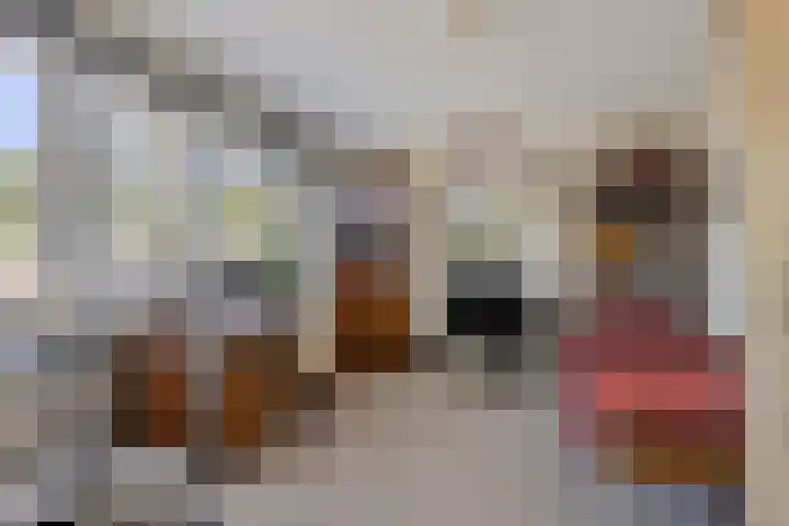Cort van der Lindenlaan 11 Zwolle thumbnail 18