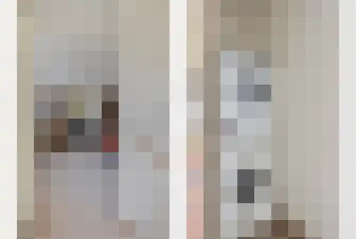 Cort van der Lindenlaan 11 Zwolle thumbnail 21