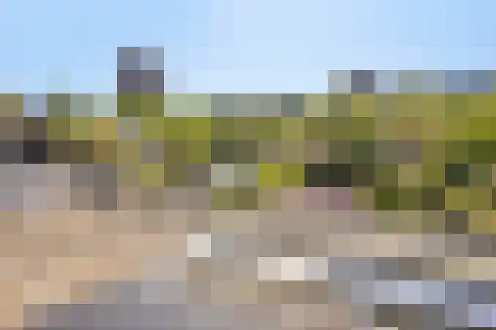 Cort van der Lindenlaan 11 Zwolle thumbnail 24