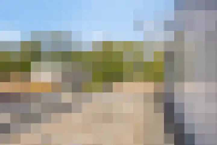 Cort van der Lindenlaan 11 Zwolle thumbnail 25
