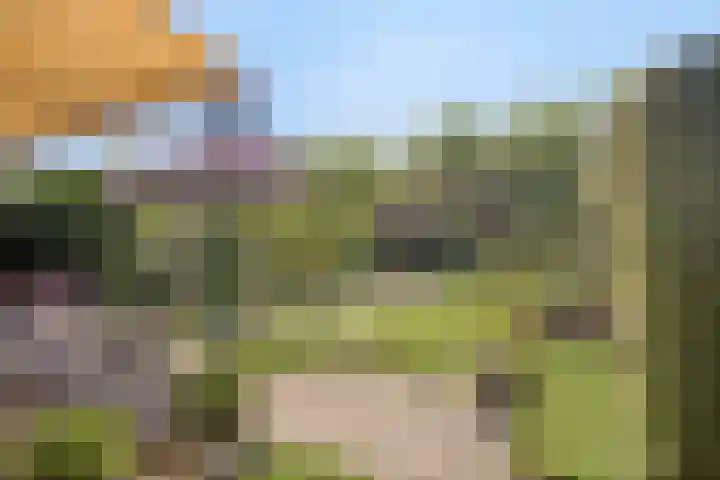 Cort van der Lindenlaan 11 Zwolle thumbnail 26