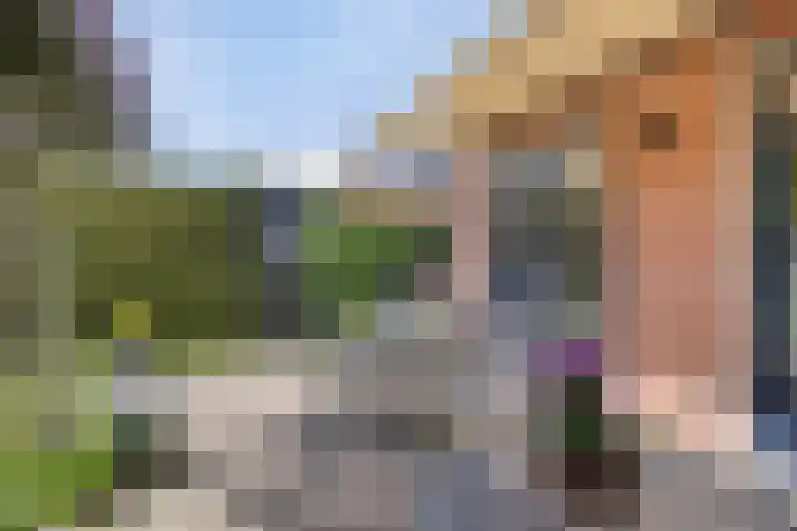 Cort van der Lindenlaan 11 Zwolle thumbnail 27