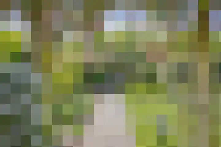 Cort van der Lindenlaan 11 Zwolle thumbnail 28