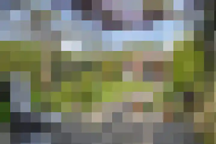 Cort van der Lindenlaan 11 Zwolle thumbnail 29