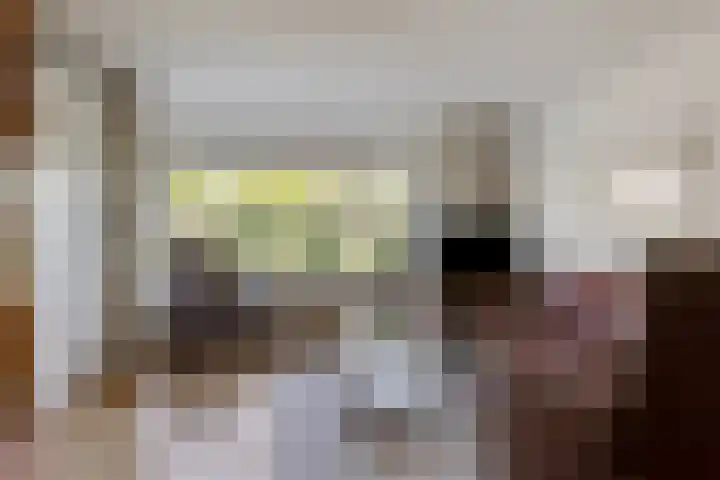 Cort van der Lindenlaan 11 Zwolle thumbnail 6