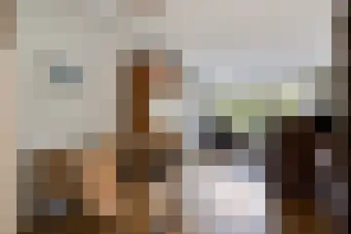 Cort van der Lindenlaan 11 Zwolle thumbnail 7