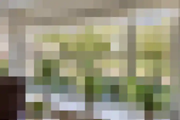 Cort van der Lindenlaan 11 Zwolle thumbnail 8