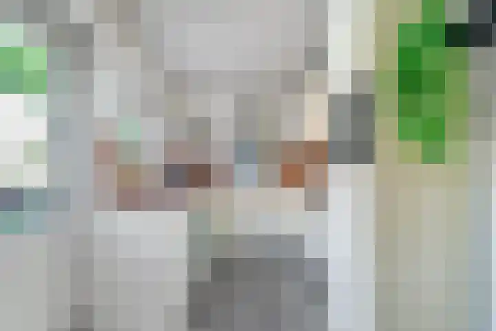 Cort van der Lindenlaan 15 Harderwijk thumbnail 14