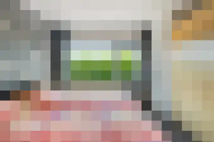 Cort van der Lindenlaan 15 Harderwijk thumbnail 20