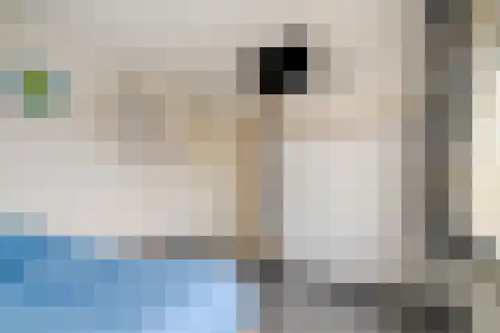 Cort van der Lindenlaan 15 Harderwijk thumbnail 24