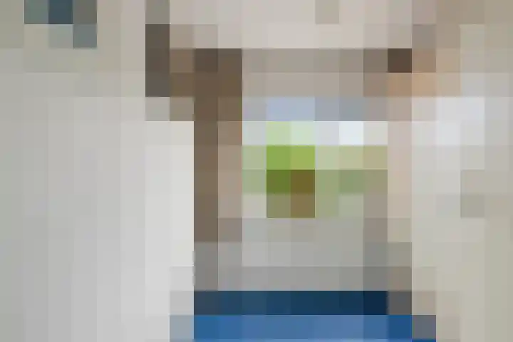 Cort van der Lindenlaan 15 Harderwijk thumbnail 25