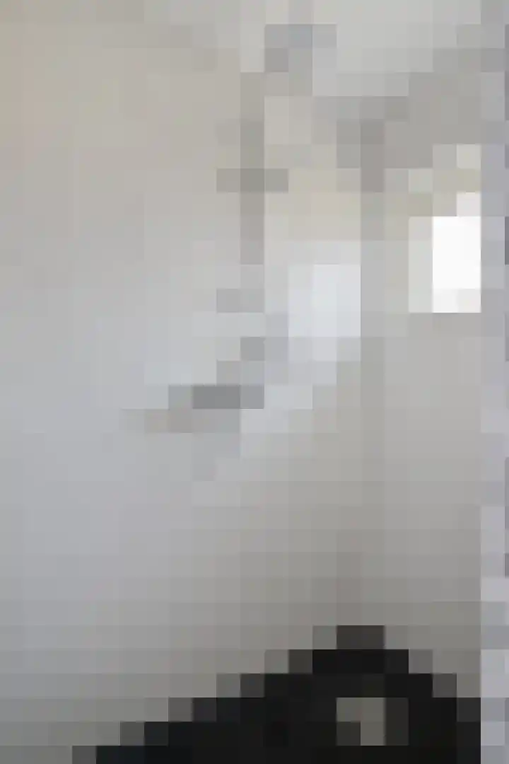 Cort van der Lindenlaan 15 Harderwijk thumbnail 29