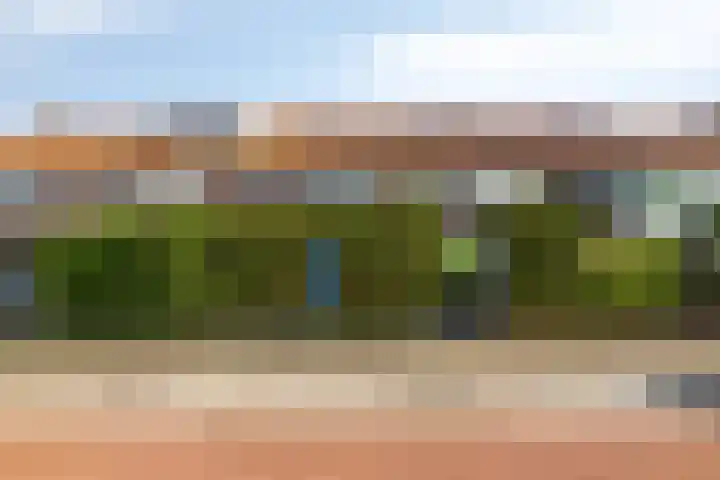 Cort van der Lindenlaan 15 Harderwijk foto 3