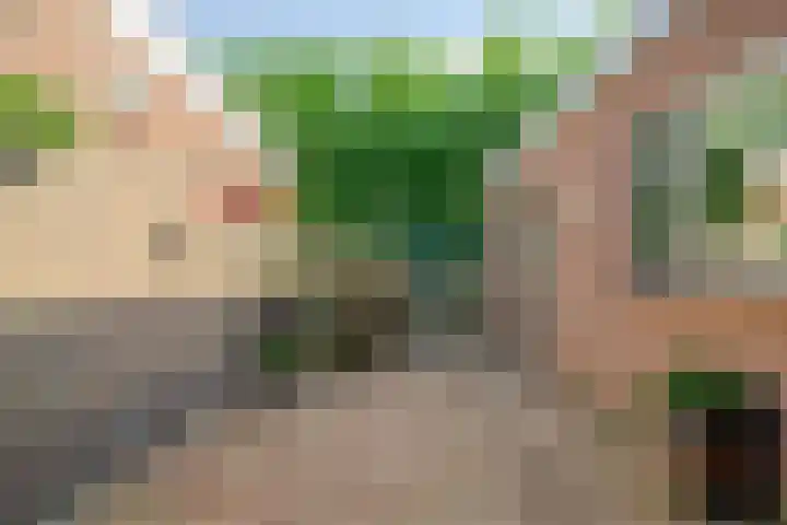 Cort van der Lindenlaan 15 Harderwijk thumbnail 34