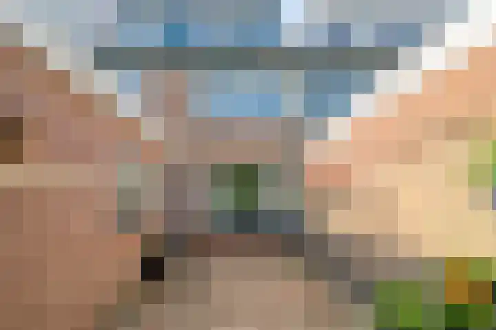 Cort van der Lindenlaan 15 Harderwijk thumbnail 35