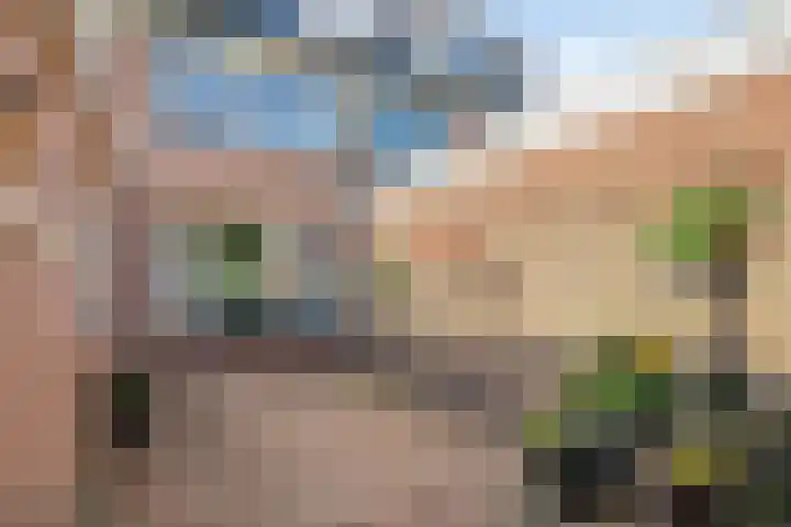 Cort van der Lindenlaan 15 Harderwijk thumbnail 36