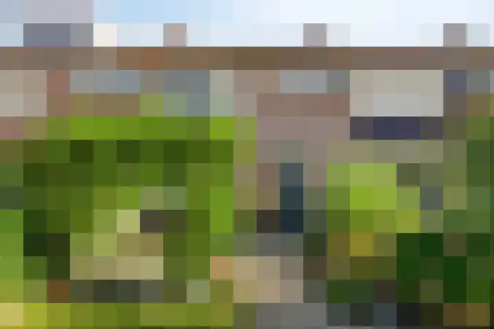 Cort van der Lindenlaan 15 Harderwijk thumbnail 43