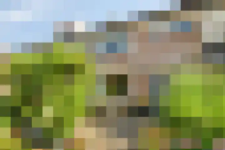 Cort van der Lindenlaan 15 Harderwijk thumbnail 5