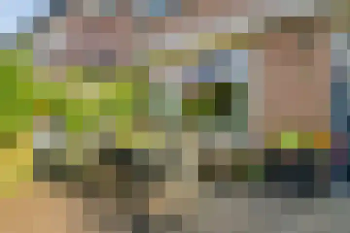 Cort van der Lindenlaan 15 Harderwijk thumbnail 6