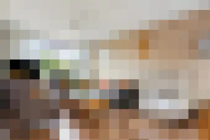 Cort van der Lindenlaan 15 Harderwijk thumbnail 8