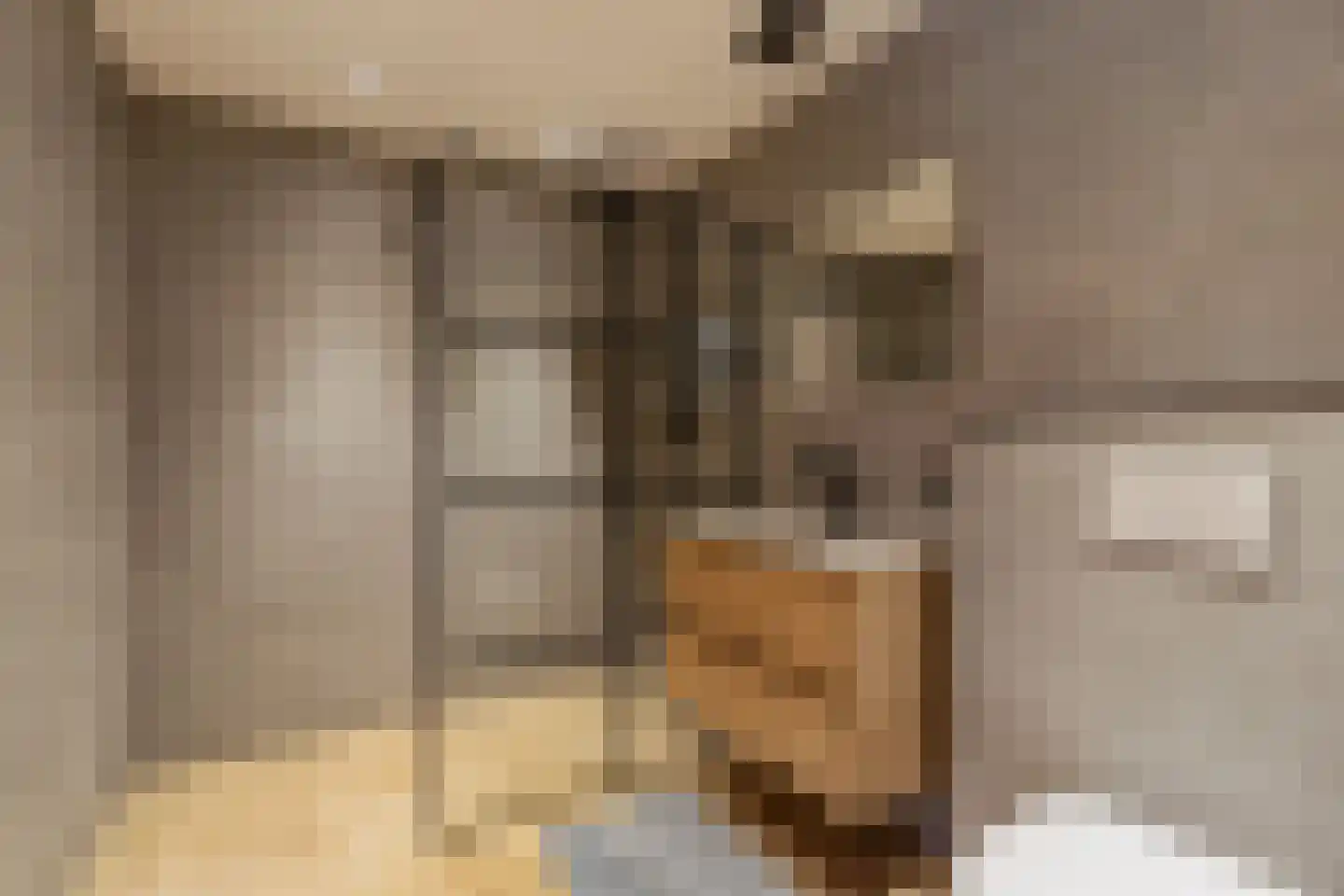 Cort van der Lindenlaan 17 Naarden thumbnail 11