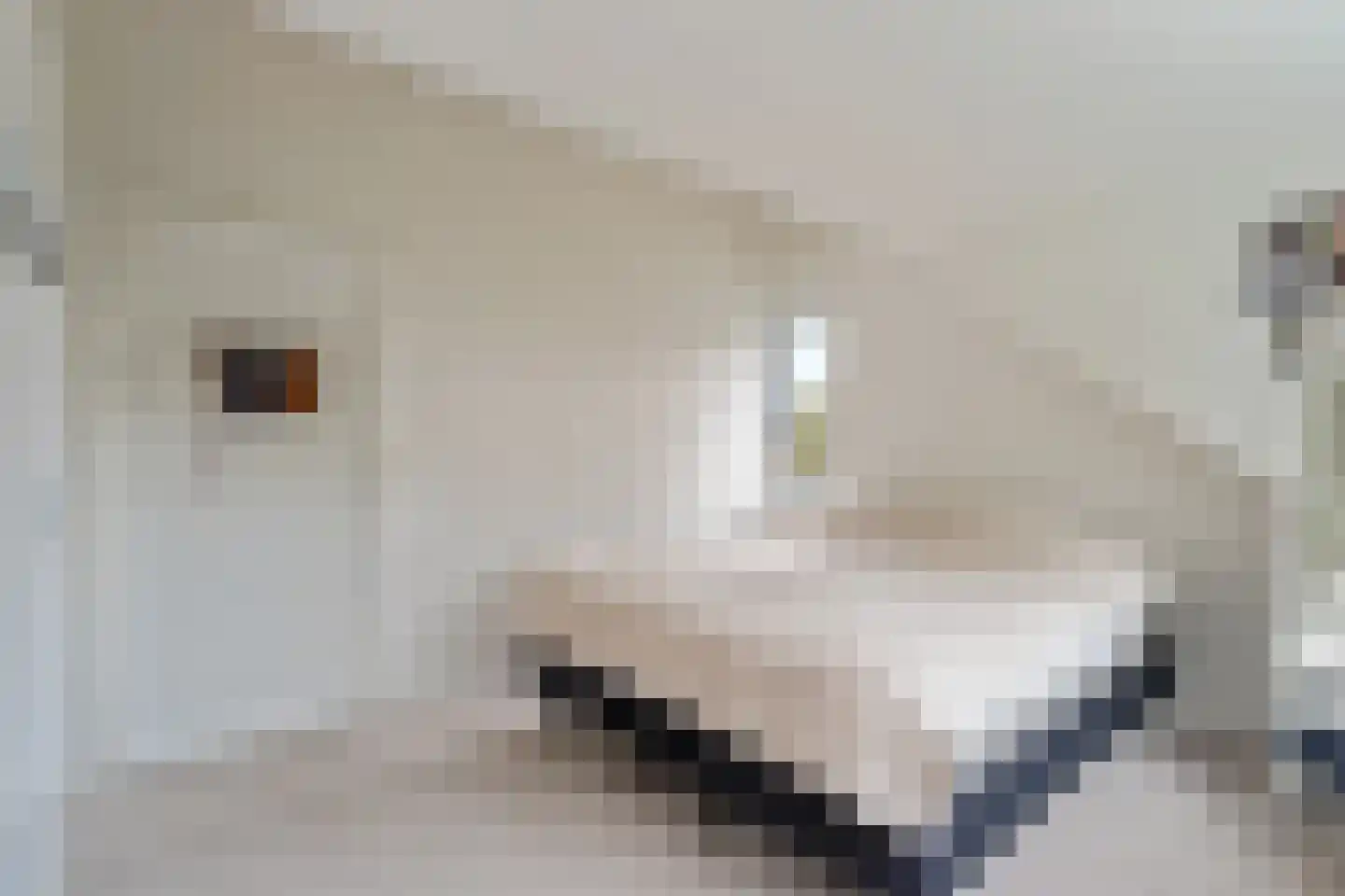 Cort van der Lindenlaan 17 Naarden thumbnail 26