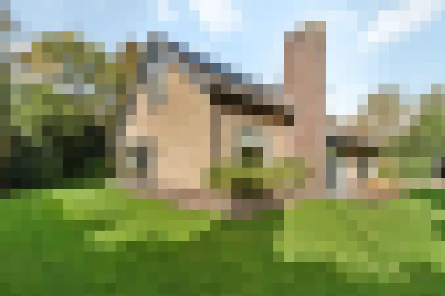 Cort van der Lindenlaan 17 Naarden thumbnail 36