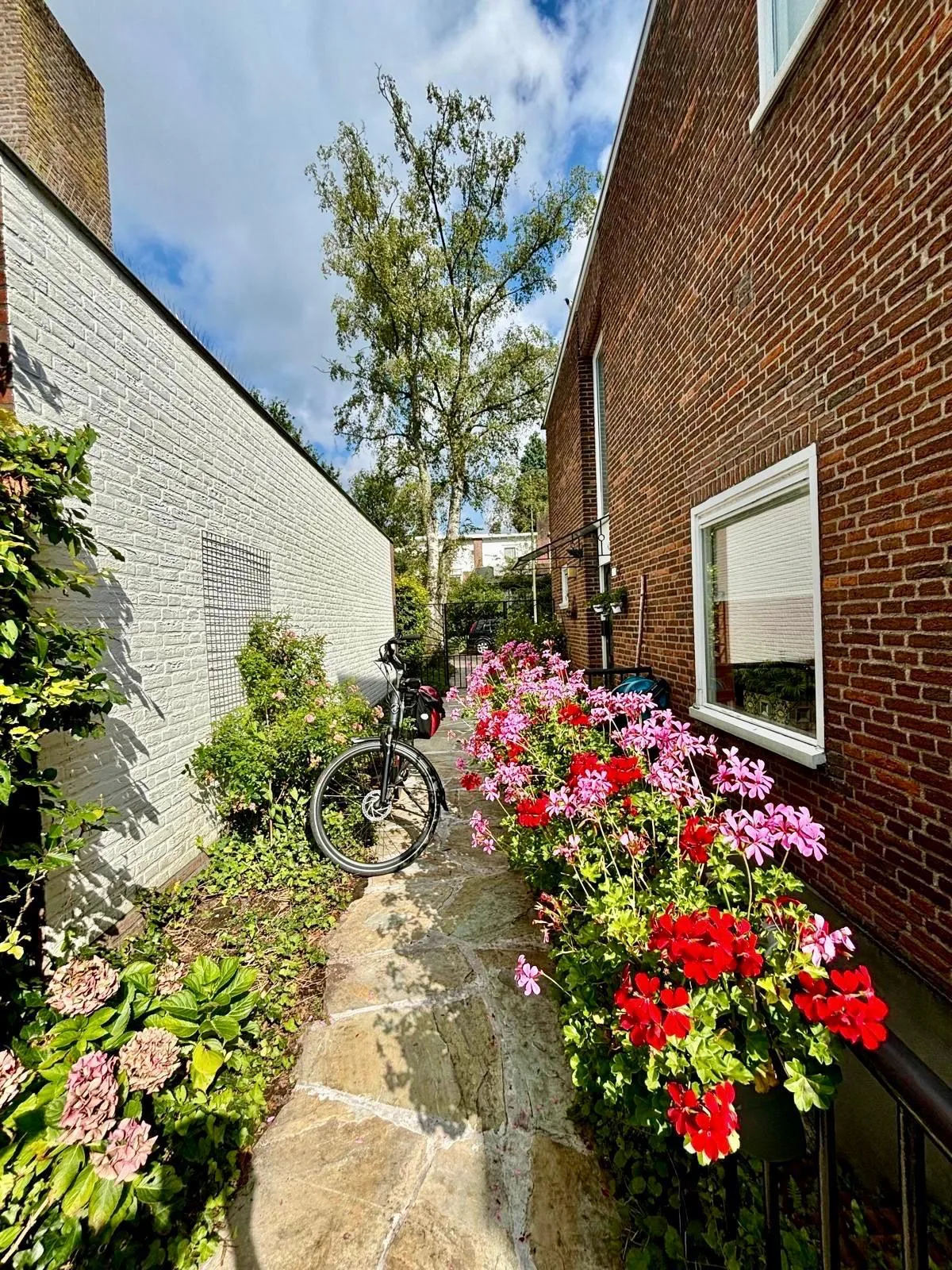 Cort van der Lindenlaan 19 Arnhem thumbnail 34