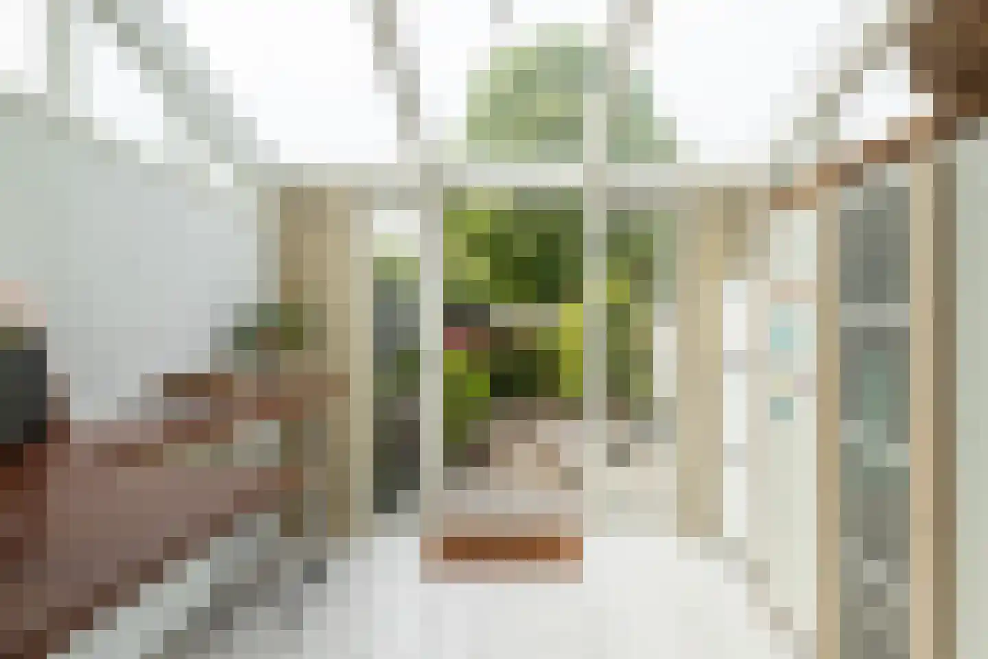 Cort van der Lindenlaan 2 Groningen thumbnail 16