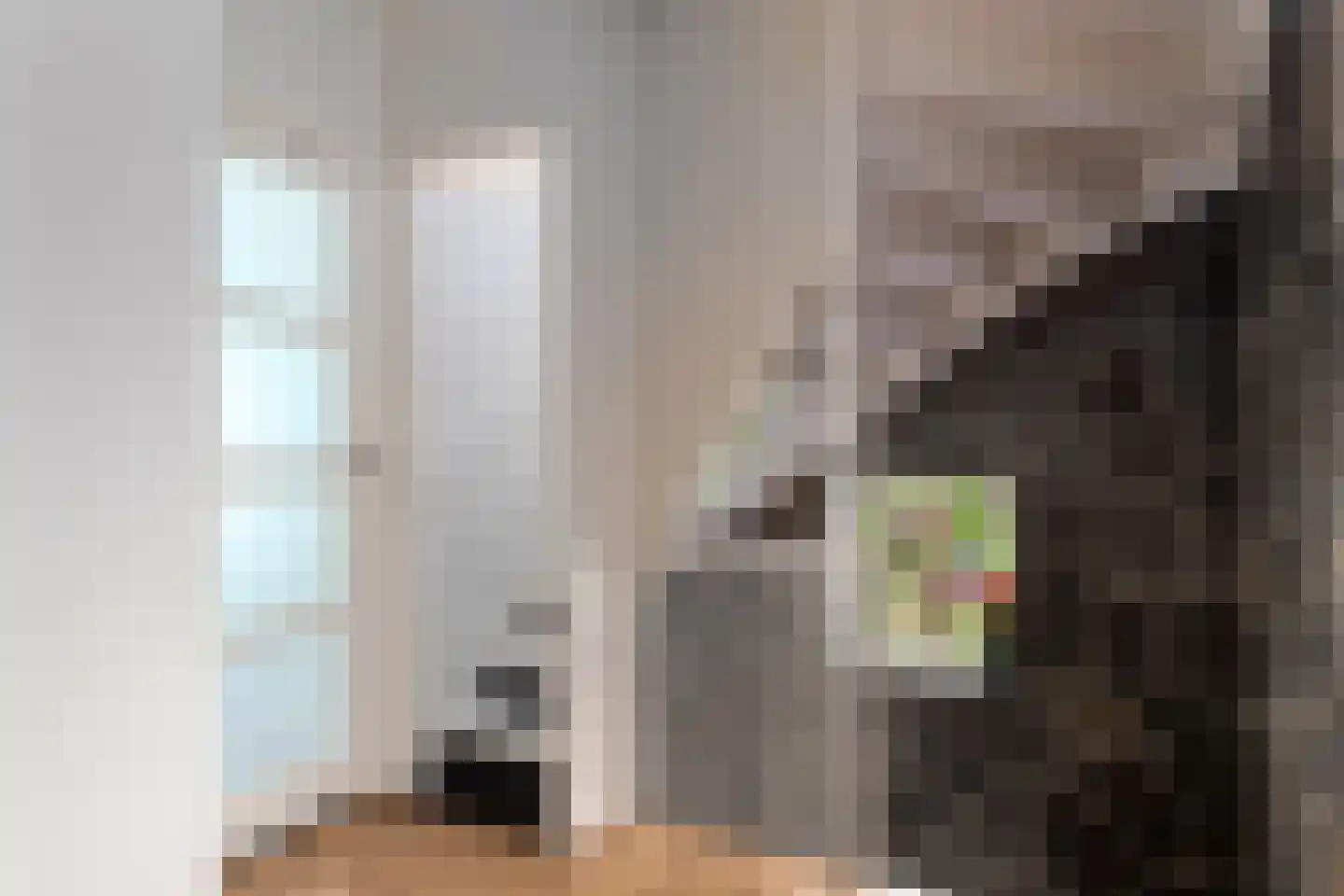 Cort van der Lindenlaan 2 Groningen thumbnail 34