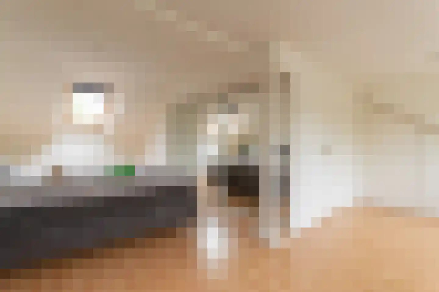 Cort van der Lindenlaan 2 Groningen thumbnail 38