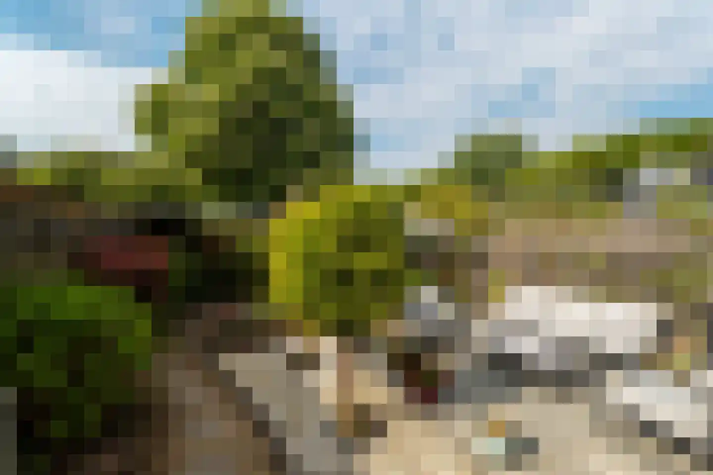 Cort van der Lindenlaan 2 Groningen thumbnail 41