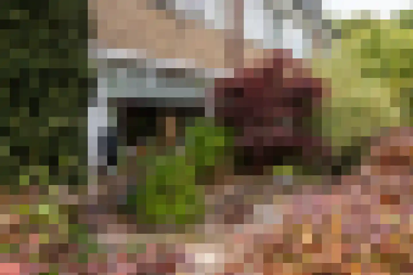 Cort van der Lindenlaan 2 Groningen thumbnail 44