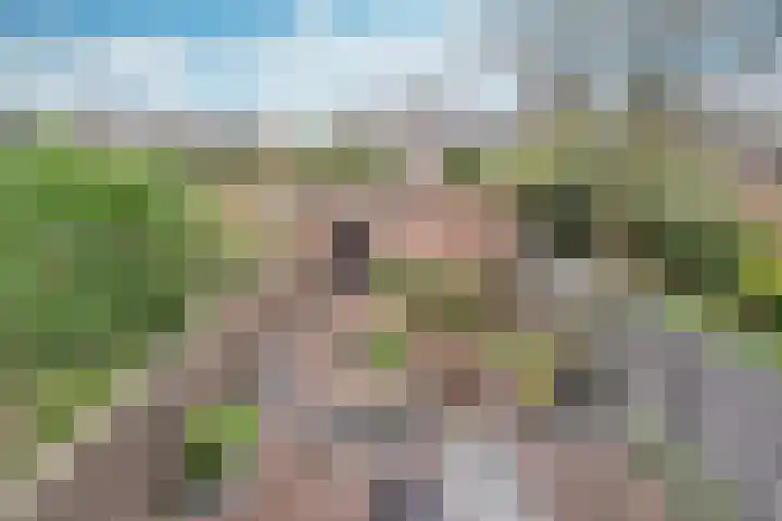 Cort van der Lindenlaan 2 Naarden thumbnail 12