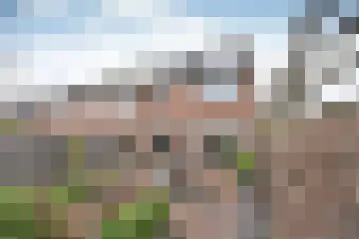 Cort van der Lindenlaan 2 Naarden thumbnail 16